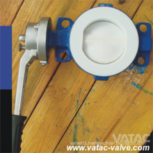 Pn10/Pn16 Wafer Type Full Lined Butterfly Valve with NBR/EPDM/Nr